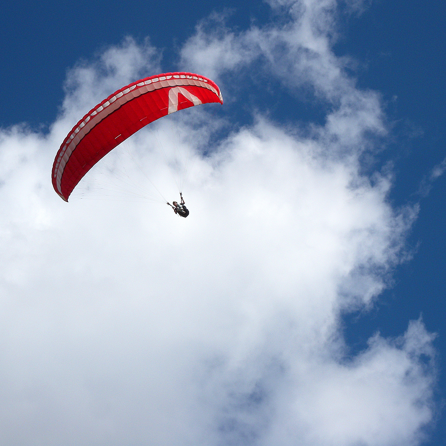 parapendio di nicoletta lindor