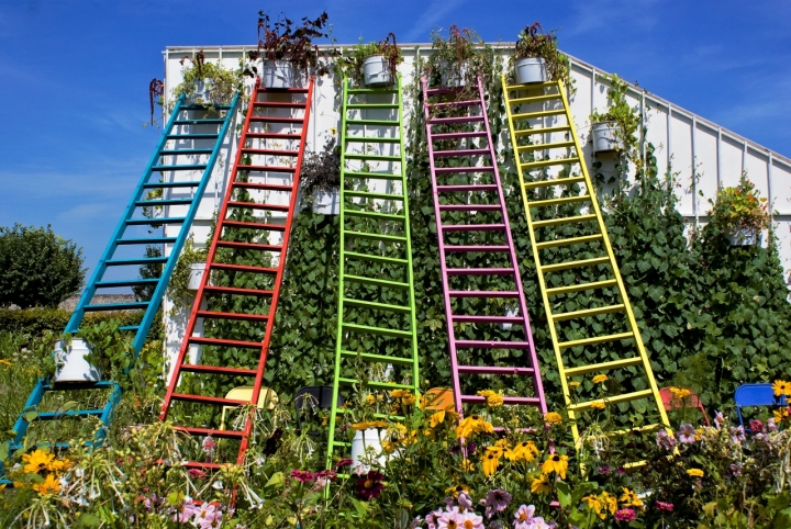 Il giardino dei colori di Tiziana Detoni