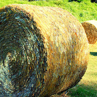 balle di paglia... d'oro di 