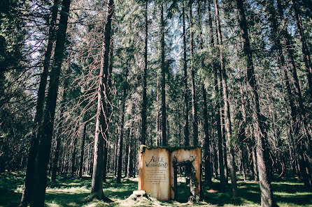 Весільний фотограф Дарья Лескова (darialeskova). Фотографія від 24 березня 2017