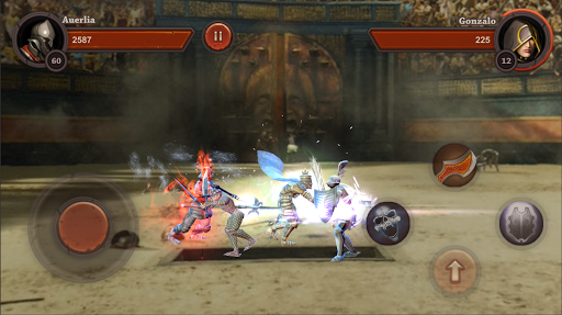 Gladiator Fight Honor, Blood, Freedom