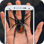 Spider On Hand: Crazy Joke Apk