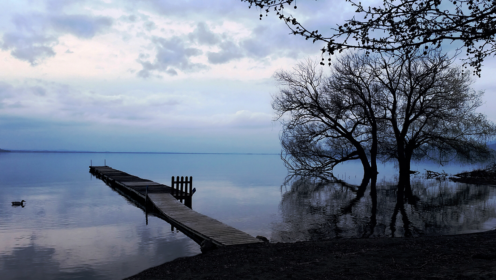 Trasimeno in inverno di MWALTER