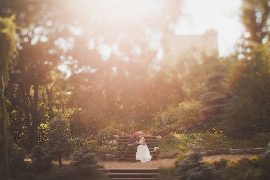 Fotografo di matrimoni Evgeniya Batysheva (b-bee). Foto del 23 giugno 2014