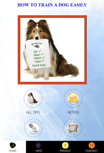 HOW TO TRAIN A DOG EASILY FOR 2019(圖1)-速報App