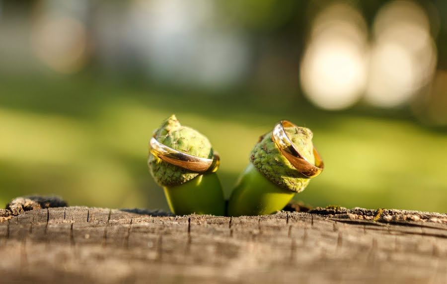 Fotograf ślubny Anna Nikolaeva (byrayskaya). Zdjęcie z 12 stycznia 2019