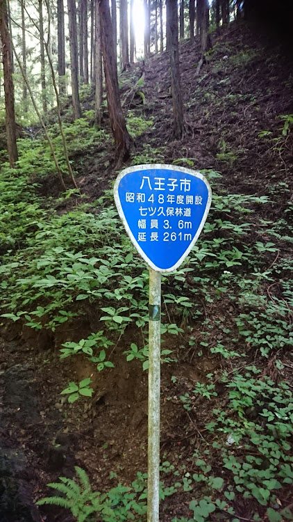フォレスターの正面写真・便乗・林道探索・シエラ・SUBARUに関するカスタム事例の投稿画像5枚目