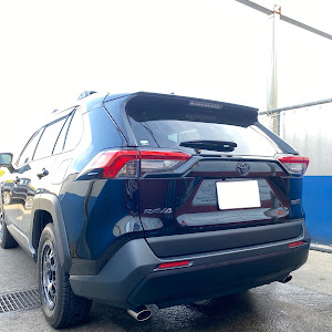RAV4 MXAA54
