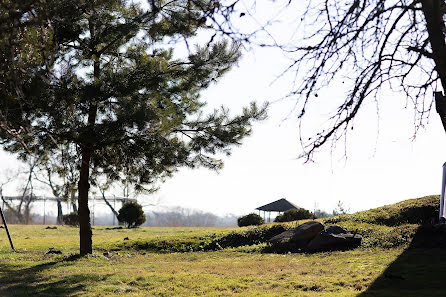 Fotógrafo de bodas Danila Pasyuta (pasyutafoto). Foto del 22 de abril 2019