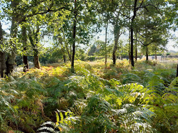 terrain à Castelnau-de-Médoc (33)