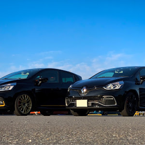 ルーテシア RM5M1
