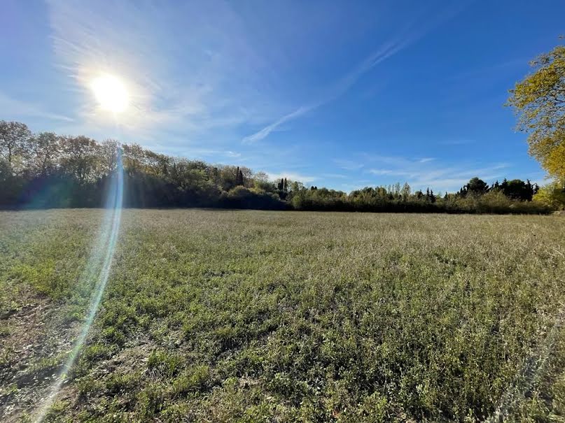 Vente terrain  9896 m² à Castelnaudary (11400), 270 000 €