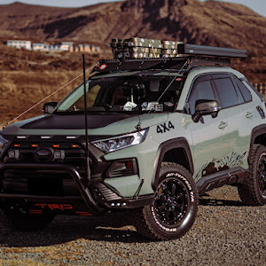 RAV4 MXAA54