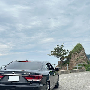 LS460