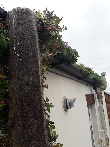An example of how bad gutters can get!