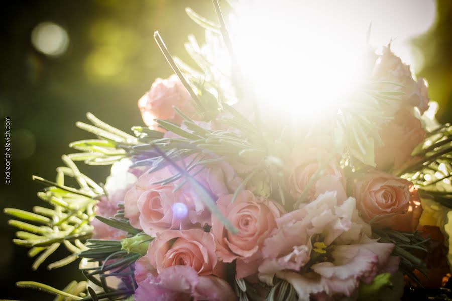 Photographe de mariage Andrea Anchelevich (andreafoto). Photo du 4 juillet 2017