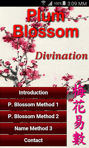 Plum Blossom Divination