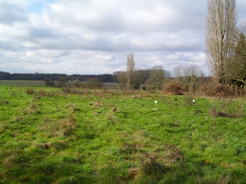 terrain à Beaupréau (49)