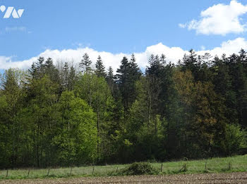 terrain à Arçonnay (72)