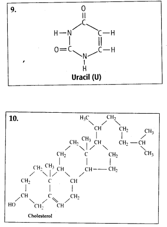 Solution Image