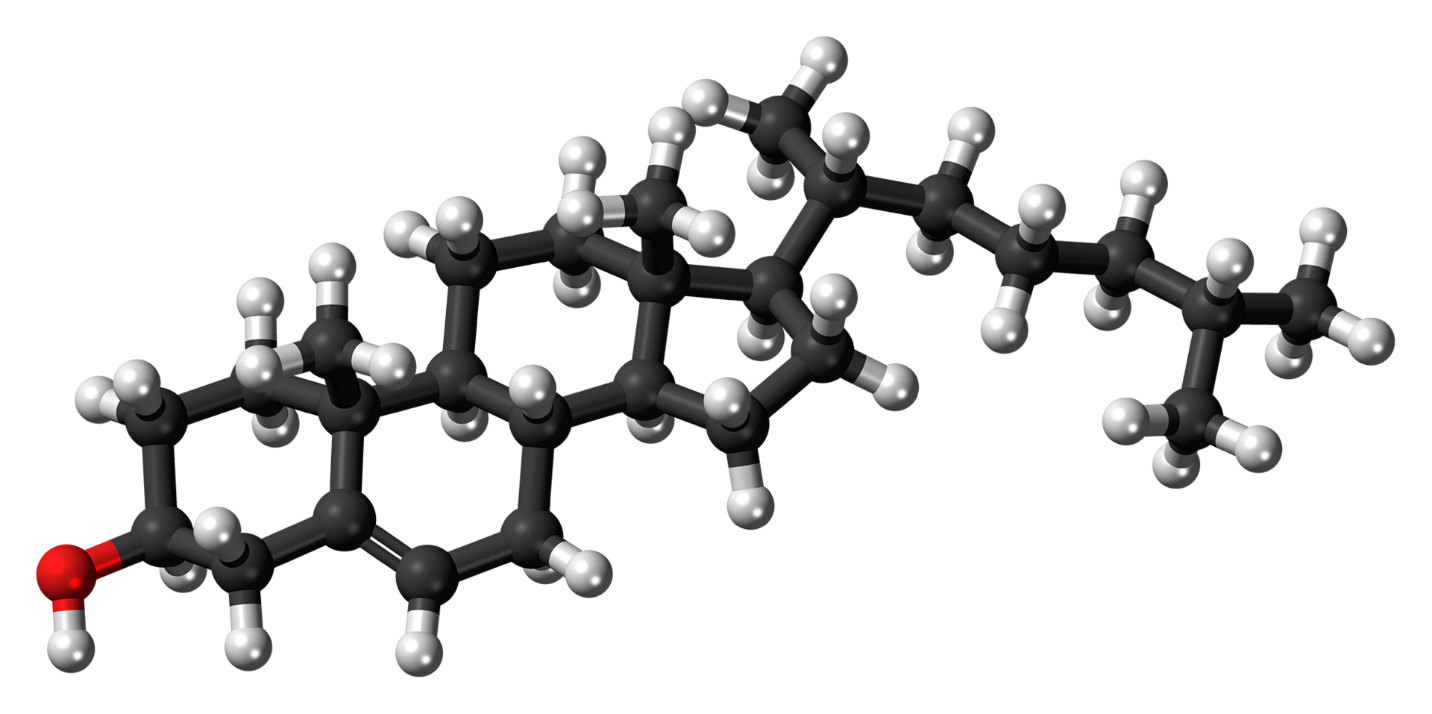 C:\Users\Urmas\Documents\AJAKIRI\AJAKIRI NR 29\pildid\Cholesterol_molecule_ball.png