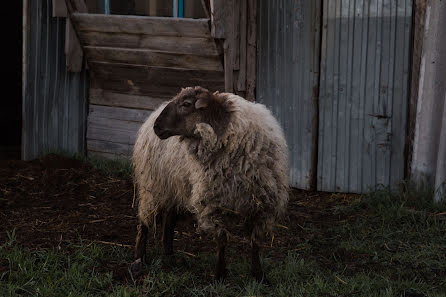 Bryllupsfotograf Irina Alutera (iralutera). Foto fra maj 1 2019