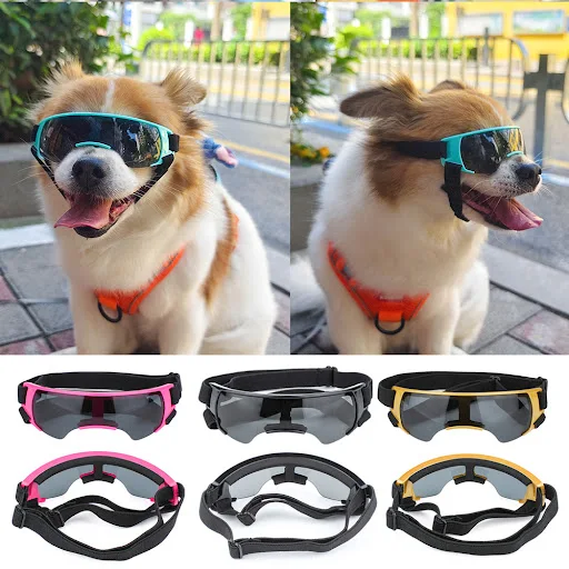 Pet Eye Wear Dog Goggles Small Breed Dog Sunglasses UV Protection Eyewear For Small Dogs Puppy Outdoor Riding Dog Access