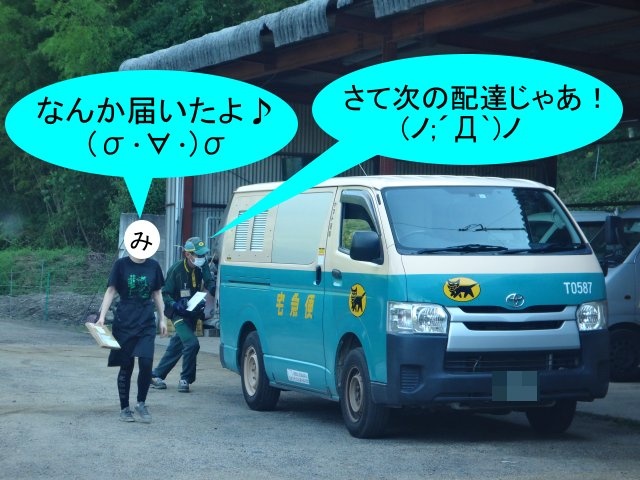 KITTさんが投稿したしおのえふじかわ牧場・香川県・牧場・塩江町・しおのえに関するカスタム事例の投稿画像1枚目