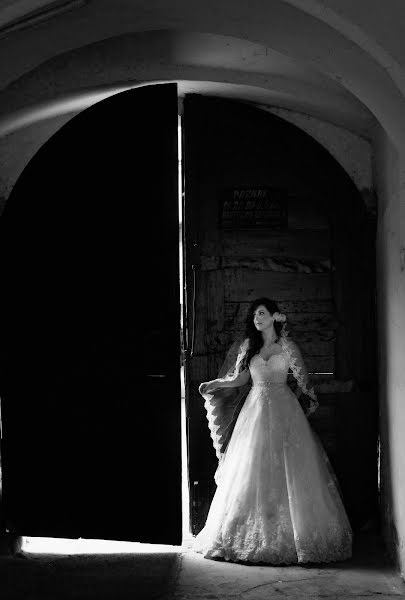 Fotografo di matrimoni Darko Ocokoljic (darkoni). Foto del 23 giugno 2015