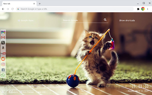 Cats and Kittens New Tab Extension