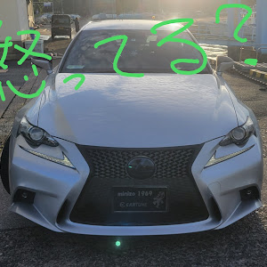 IS GSE30