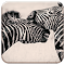 Item logo image for Zebras