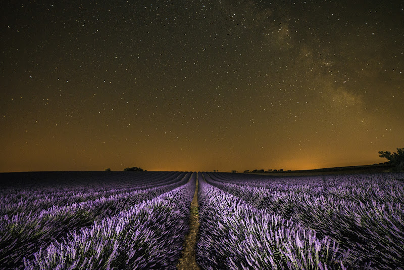 La notte in provenza di Doriana Frau