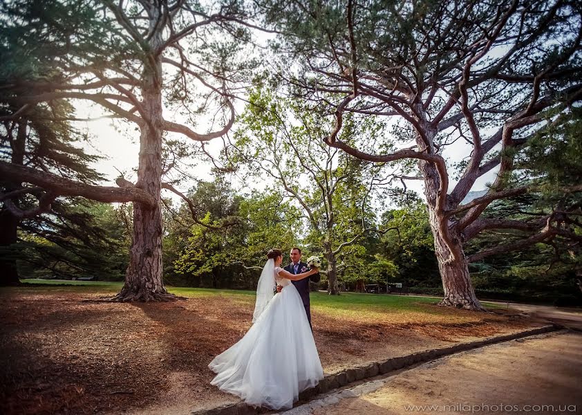 Fotografo di matrimoni Mila Elchaninova (milaphotos). Foto del 1 giugno 2019