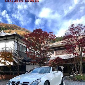 SLK R171