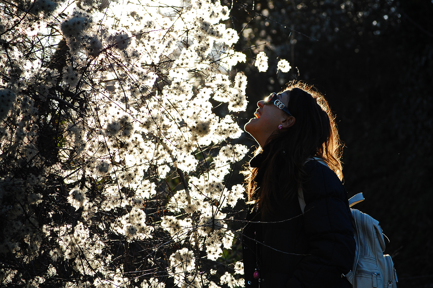 Luce Gloriosa... di ParisOttombrinoPhotographer