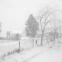 bufera di neve di 