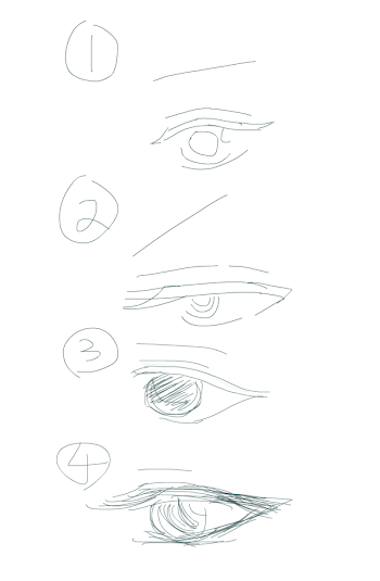 What eyes should I use ?