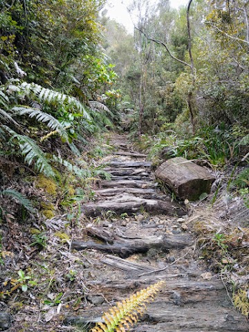 Pinnacles Walk Billygoat Track Skidded Road