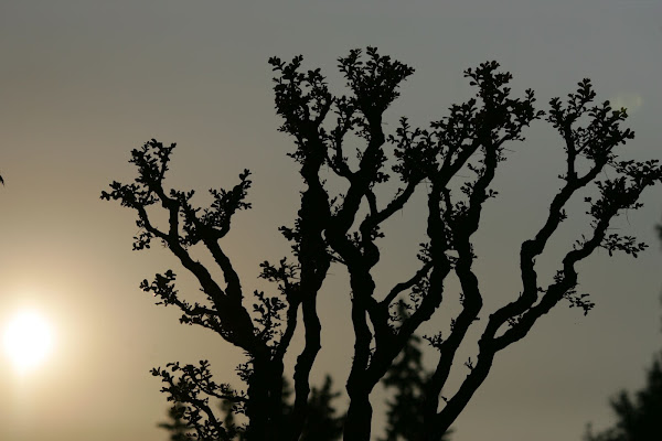 catturare l'ultima luce di LaRoccia