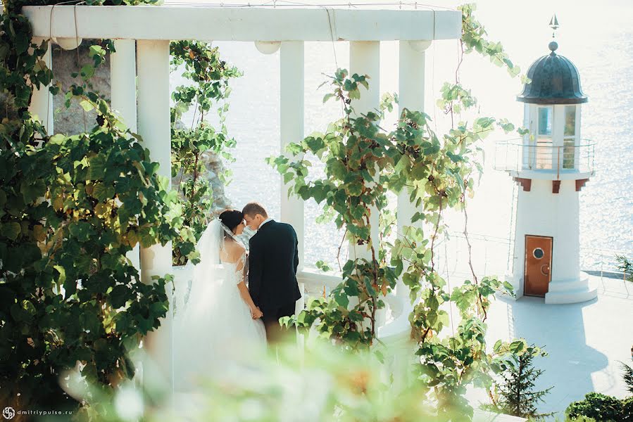 Photographe de mariage Dmitriy Puls (pulse). Photo du 7 décembre 2015