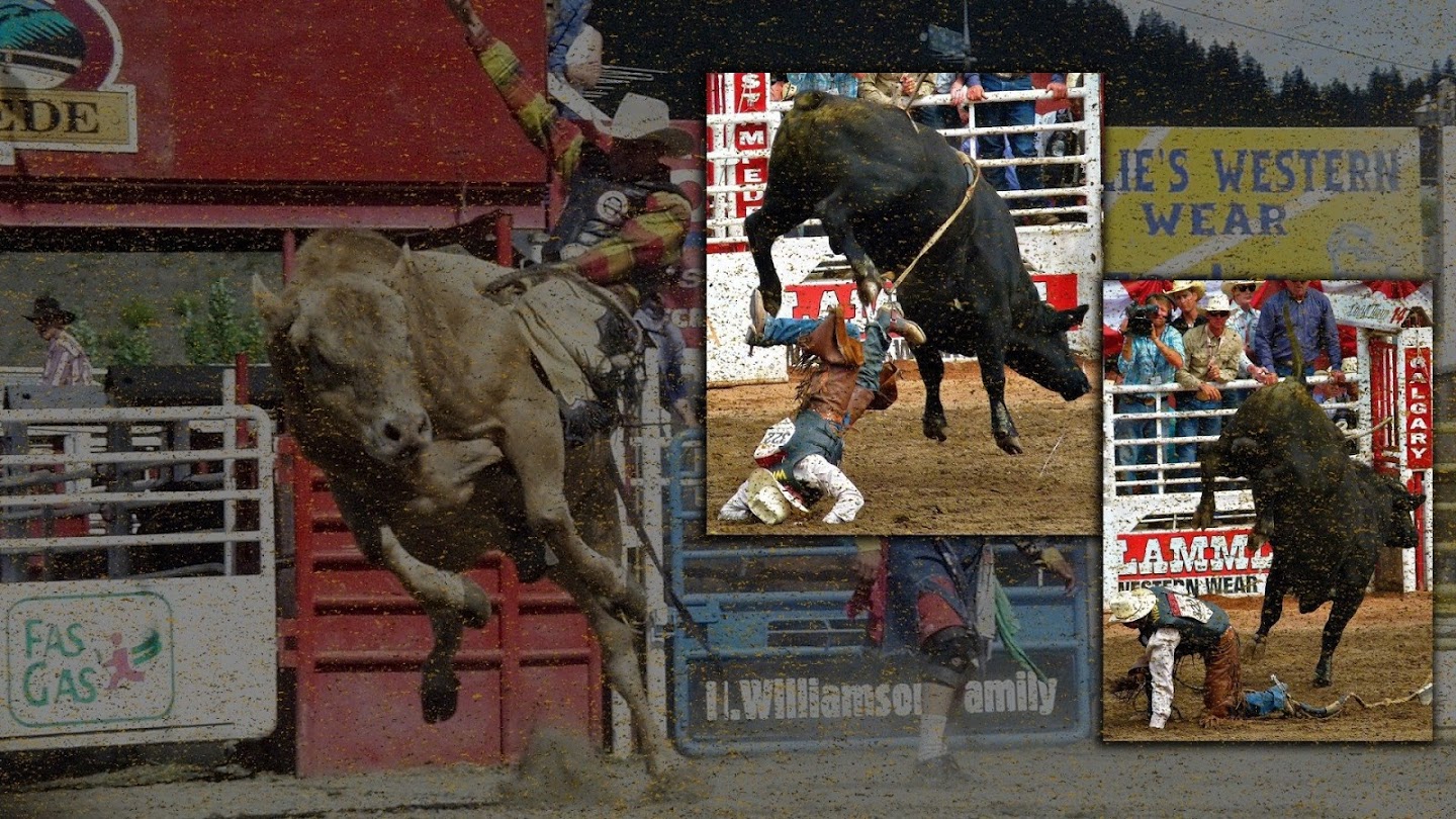 Rodeo