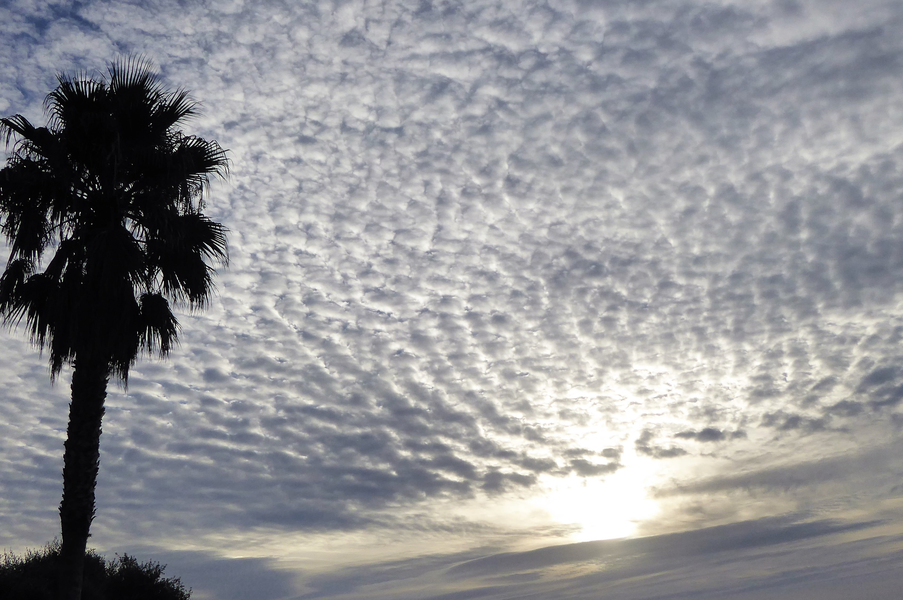 Cielo a pecorelle, acqua a catinelle!!! di Piera