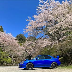 インプレッサ WRX STI GDB