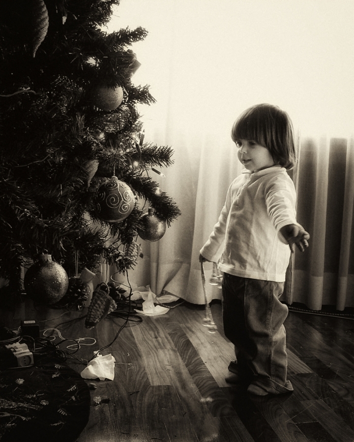 Addobbiamo l'albero di Natale di Stefano M