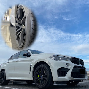 X6 M F86