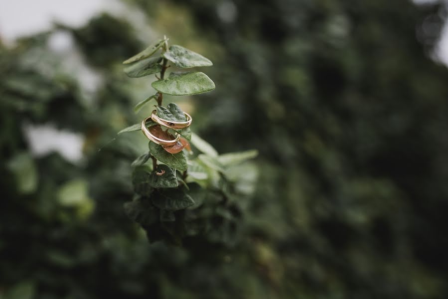 Fotógrafo de casamento Ignacio Perona (nostrafotografia). Foto de 25 de julho 2018