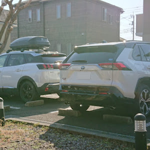 RAV4 AXAP54