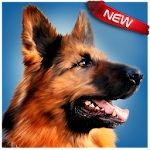 Cover Image of Télécharger Dog Simulator  APK