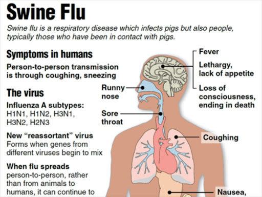 Symptoms of influenza, with fever and cough the most common symptoms.